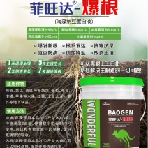 生根有机水溶肥