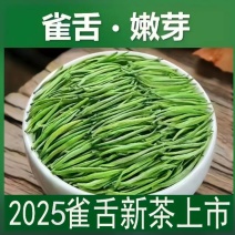 2025年雀舌新茶
