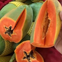 大量红心木瓜，7两起