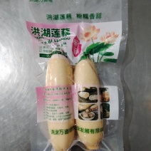 洪湖莲藕彩袋更显品质万亩塘藕基地欢迎来电咨询