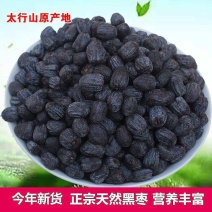 新鲜干货野生无核软枣小柿子黑枣野柿子零食糖葫芦煲汤