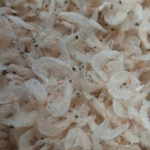 淡干无盐虾皮