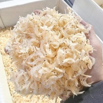 整箱淡干虾皮厂家批发海鲜虾皮制品干货补钙赶集摆摊跑江湖虾