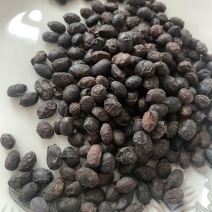 豆豉货干无杂中药材豆豉一件代发