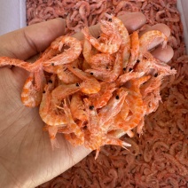 磷虾，大个头，干度好，颜色亮