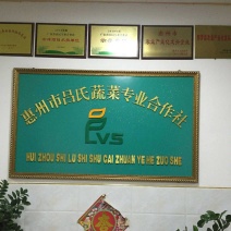 专业蔬菜生产基地，