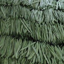 山东聊城扁豆绿扁豆新鲜豆角四季豆全国批发诚信代办