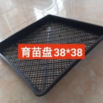 佛甲草矮麦冬育苗框种菜育苗盘收纳搬运整理框芽菜穴盘叶插育