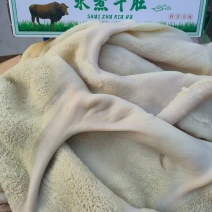 牛肚
