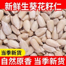 包邮）生葵花籽仁新货无壳瓜子仁原味新鲜生瓜子米花油葵榨油