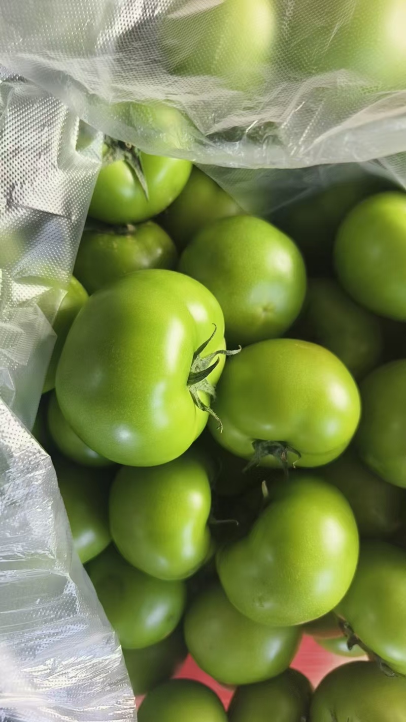 青番茄,绿柿子,绿宝石