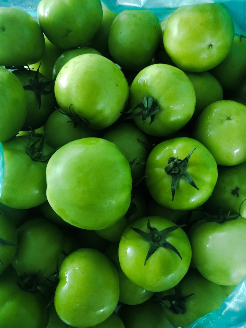 青番茄,绿柿子,绿宝石