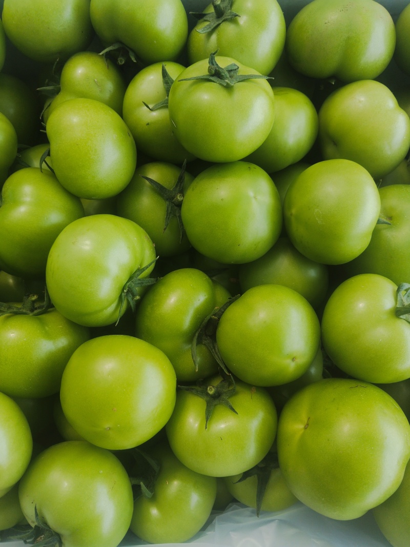 青番茄,绿柿子,绿宝石