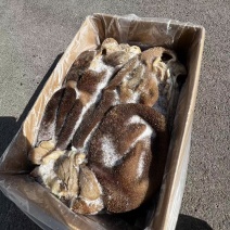 熟黑羊肚