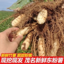 广东