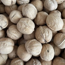 核桃