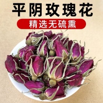 玫瑰花茶平阴玫瑰花新花干净无硫批发零售