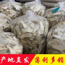 杏鲍菇产地直销批发小片干货中片大片新鲜烘干精选菌菇土特产
