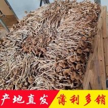 茶树菇5号产地直销批发茶树菇3号剪根干货扎把捆把