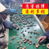花菇产地直销批发茶花菇厚肉白花菇干货小香菇蘑菇冬菇剪根