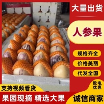人参果甘肃民勤沙漠人参果长果圆果低糖原味人生果