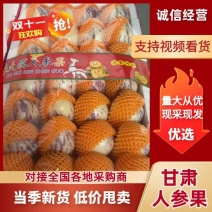 民勤人参果精品包装大果包邮含糖量低老少皆宜