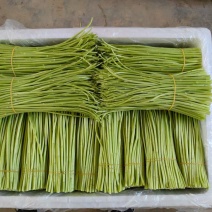 云南精品白芦蒿