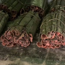高山薄香桂皮无杂质长期供货
