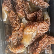 野生棉蜇角