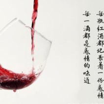 葡萄酒，宁夏贺兰山东麓葡萄酒产区，产区直供，货品优质
