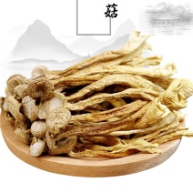 秦岭山珍干菌子鹿茸菇