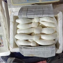 鸡腿菇