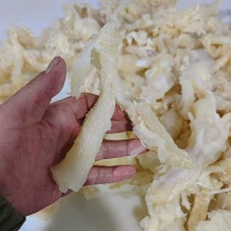 精品水发牛蹄筋不包邮厂家直发品质保证量大从优一手货源