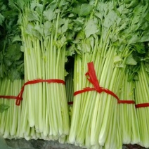 小西芹