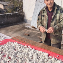 农村正宗纯手工制作红薯粉干净卫生