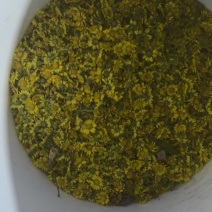 野菊花