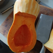 花生南瓜