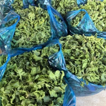 市场精品荠菜