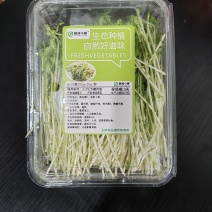 豌豆苗