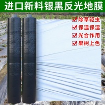 黑地膜银黑地膜白地膜可以视频看货！包运费