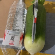 水果萝卜