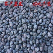 涉县无核黑枣产地直发电商批发商