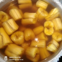 华南9号黄肉木薯