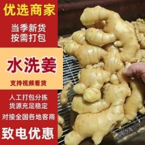 济宁大黄姜老姜生姜产地一手货源【辣味十足，姜块厚重】