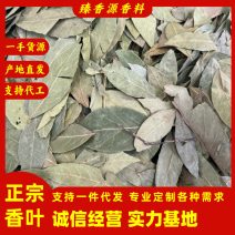 2斤起批新货特绿香叶选货片形好