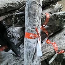 海带头，无盐无沙，自然晒干，厂家直发量大质优价格优惠
