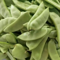 早冠扁豆种子优质早熟多荚耐储运农家春秋播种精选扁豆