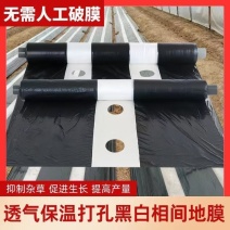 地膜打孔