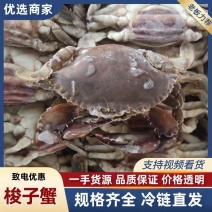 精品梭子蟹量大从优对接全国货源充足质量保证欢迎咨询