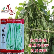 春秋红花白荚架豆种子早熟长荚嫩白豆角春秋高产四季豆种籽